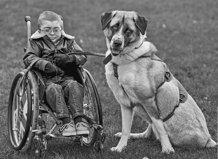 Иллюстрация к книге — Уроки для «Вожака стаи» [i_026.jpg]