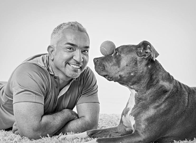 Иллюстрация к книге — Уроки для «Вожака стаи» [i_031.jpg]