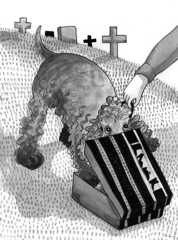 Иллюстрация к книге — Миндальное сердце  [i_009.jpg]