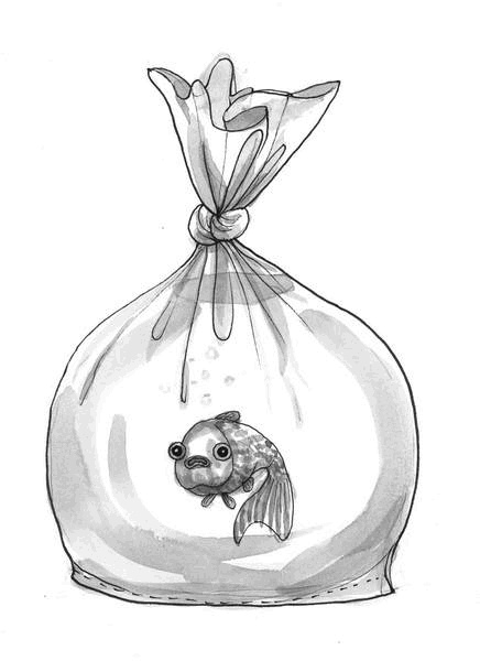 Иллюстрация к книге — Миндальное сердце  [i_045.jpg]