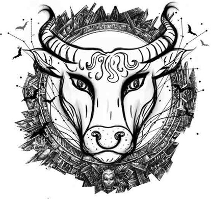 Иллюстрация к книге — Силуэт в разбитом зеркале [i_001.jpg]