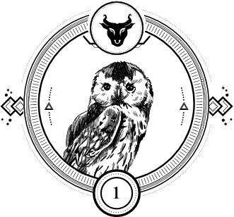 Иллюстрация к книге — Силуэт в разбитом зеркале [i_003.jpg]