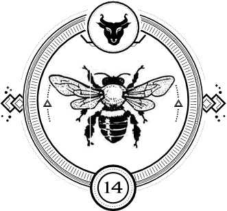 Иллюстрация к книге — Силуэт в разбитом зеркале [i_016.jpg]