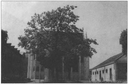 Иллюстрация к книге — Людовик IX Святой [i_005.jpg]