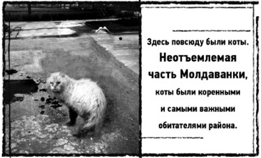 Иллюстрация к книге — Тень «Райского сада»  [i_015.jpg]