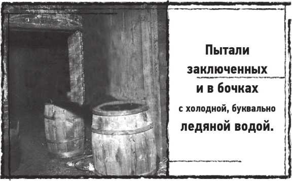 Иллюстрация к книге — Лугару [i_014.jpg]