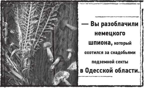 Иллюстрация к книге — Лугару [i_016.jpg]