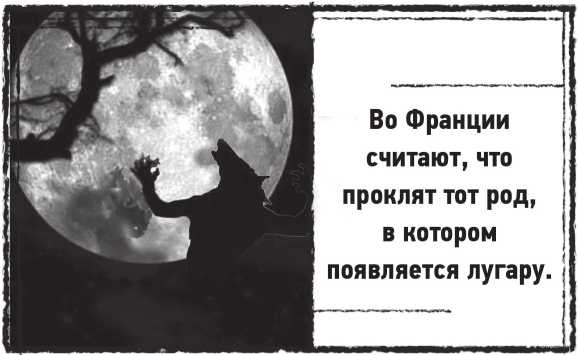 Иллюстрация к книге — Лугару [i_018.jpg]