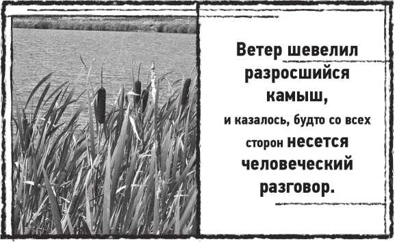 Иллюстрация к книге — Лугару [i_026.jpg]