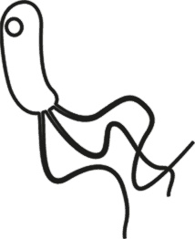 Иллюстрация к книге — Микробы? Мама, без паники, или Как сформировать ребенку крепкий иммунитет [i_011.jpg]