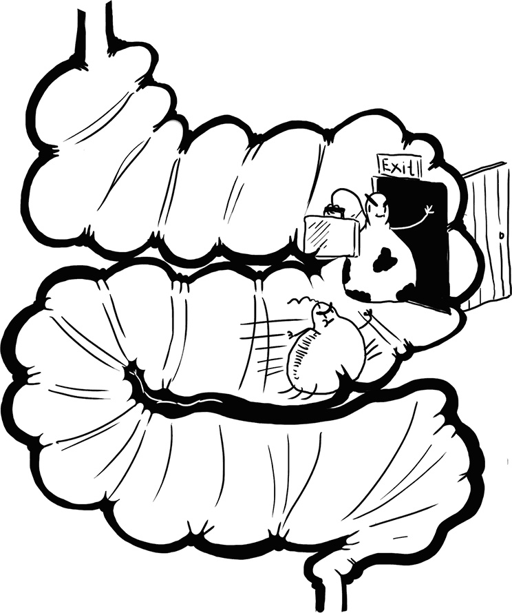 Иллюстрация к книге — Микробы? Мама, без паники, или Как сформировать ребенку крепкий иммунитет [i_115.jpg]