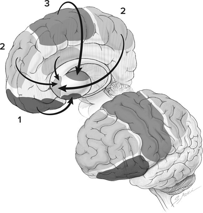 Иллюстрация к книге — Голодный мозг. Как перехитрить инстинкты, которые заставляют нас переедать [i_015.jpg]