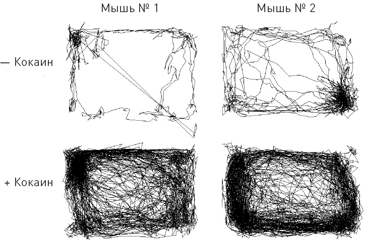 Иллюстрация к книге — Голодный мозг. Как перехитрить инстинкты, которые заставляют нас переедать [i_016.jpg]