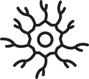 Иллюстрация к книге — Голодный мозг. Как перехитрить инстинкты, которые заставляют нас переедать [i_042.jpg]