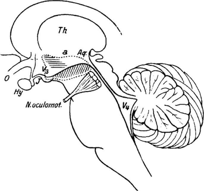 Иллюстрация к книге — Голодный мозг. Как перехитрить инстинкты, которые заставляют нас переедать [i_050.jpg]