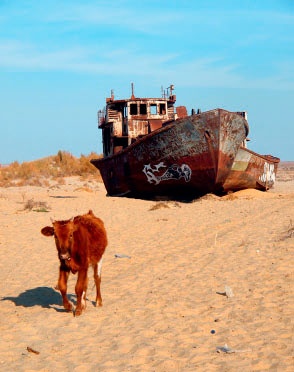 Иллюстрация к книге — Советистан [i_040.jpg]