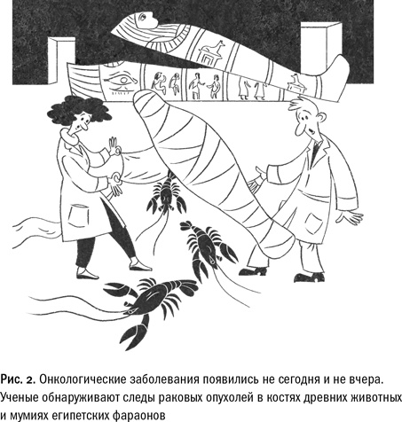 Иллюстрация к книге — Кривое зеркало жизни. Главные мифы о раке, и что современная наука думает о них [i_003.jpg]