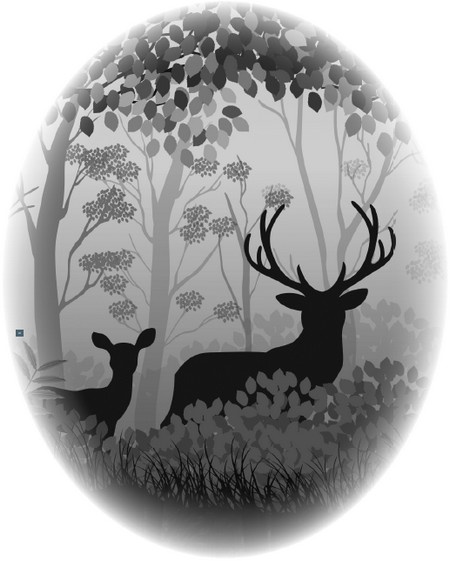 Иллюстрация к книге — Нэнси Дрю и таинственные незнакомцы [_001.jpg]