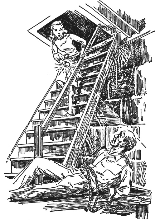 Иллюстрация к книге — Нэнси Дрю и тайна лесного домика [i_001.jpg]