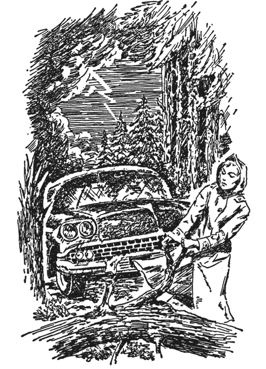 Иллюстрация к книге — Нэнси Дрю и тайна лесного домика [i_003.jpg]