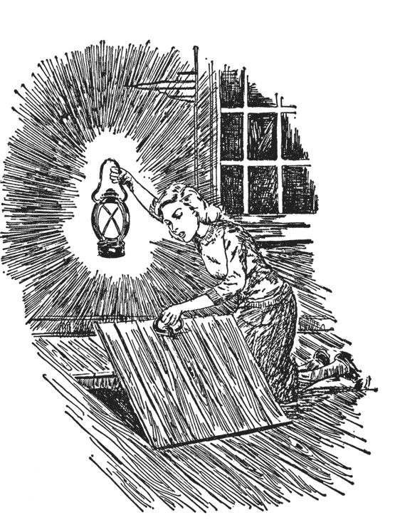 Иллюстрация к книге — Нэнси Дрю и тайна лесного домика [i_005.jpg]