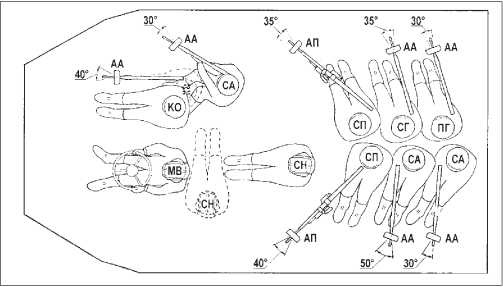 Иллюстрация к книге — Русские бронетранспортеры [i_096.jpg]