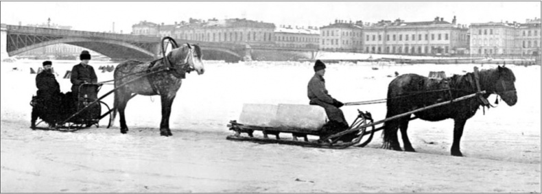 Иллюстрация к книге — Петербургские доходные дома. Очерки из истории быта [i_110.jpg]