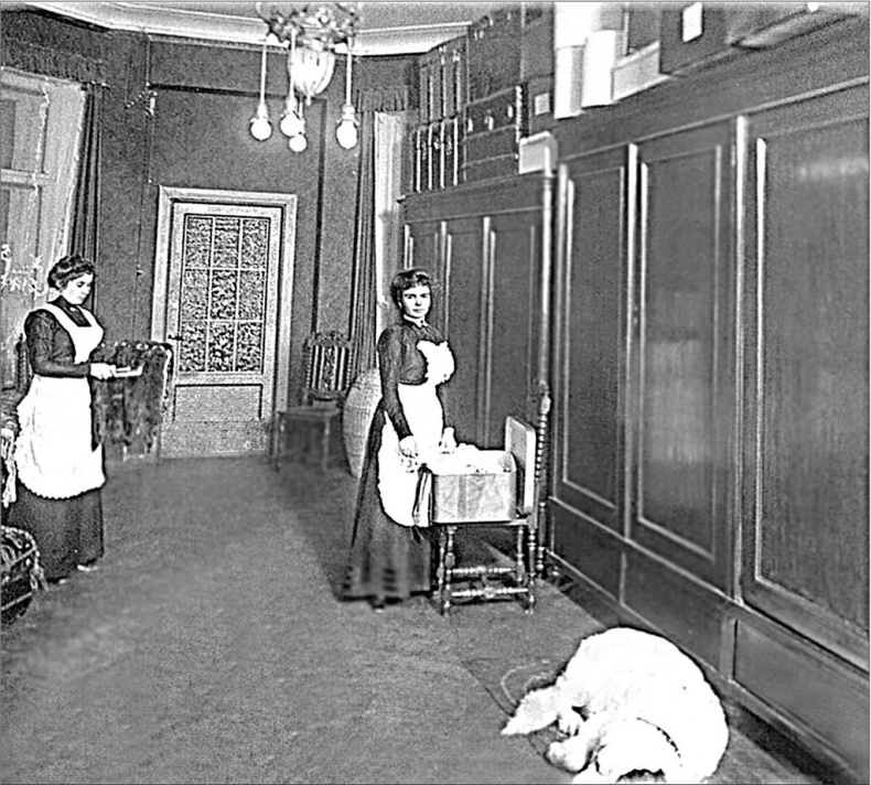 Иллюстрация к книге — Петербургские доходные дома. Очерки из истории быта [i_123.jpg]