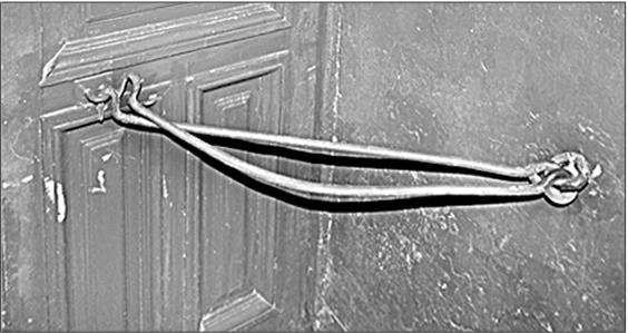 Иллюстрация к книге — Петербургские доходные дома. Очерки из истории быта [i_236.jpg]