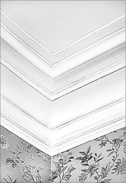 Иллюстрация к книге — Петербургские доходные дома. Очерки из истории быта [i_252.jpg]