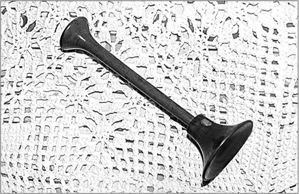 Иллюстрация к книге — Петербургские доходные дома. Очерки из истории быта [i_269.jpg]