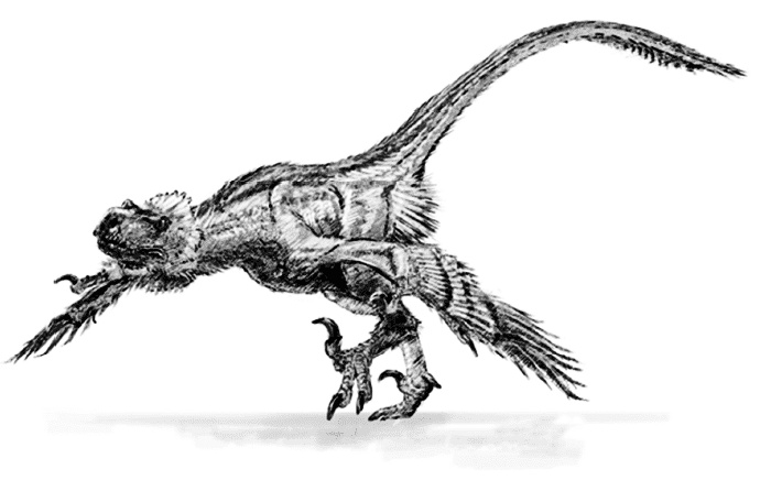 Иллюстрация к книге — Время динозавров. Новая история древних ящеров [i_006.jpg]