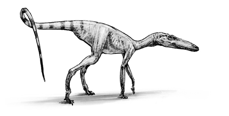 Иллюстрация к книге — Время динозавров. Новая история древних ящеров [i_009.jpg]