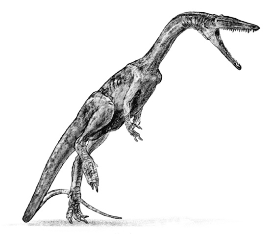 Иллюстрация к книге — Время динозавров. Новая история древних ящеров [i_014.jpg]