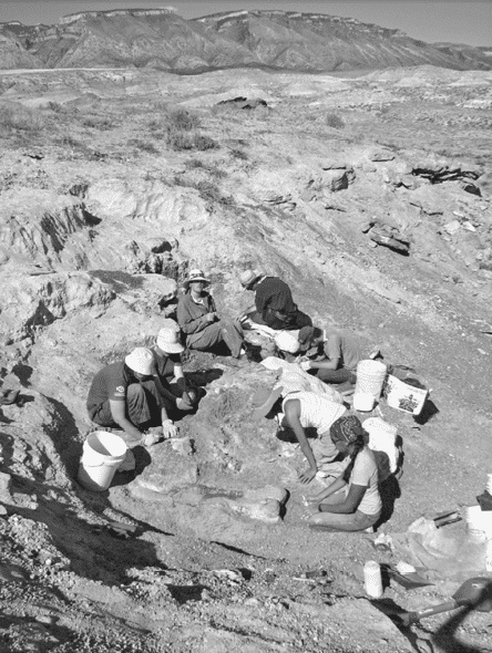 Иллюстрация к книге — Время динозавров. Новая история древних ящеров [i_028.jpg]