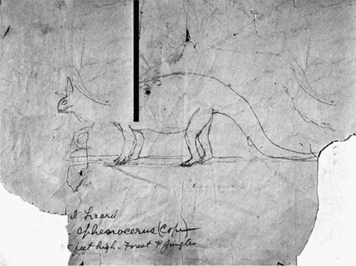 Иллюстрация к книге — Время динозавров. Новая история древних ящеров [i_031.jpg]