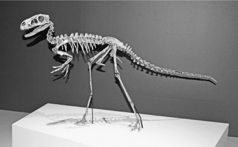 Иллюстрация к книге — Время динозавров. Новая история древних ящеров [i_038.jpg]