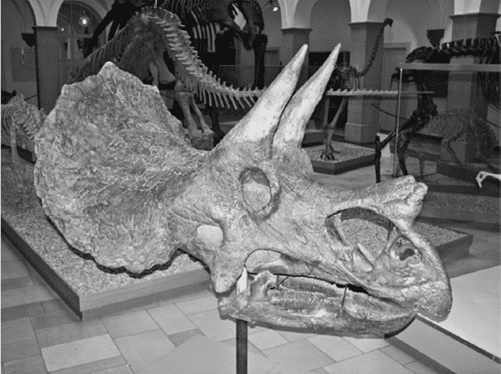 Иллюстрация к книге — Время динозавров. Новая история древних ящеров [i_049.jpg]