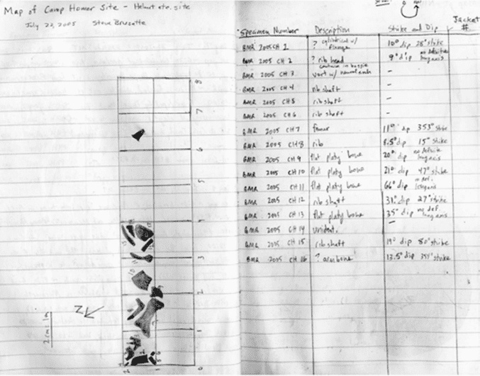 Иллюстрация к книге — Время динозавров. Новая история древних ящеров [i_051.jpg]