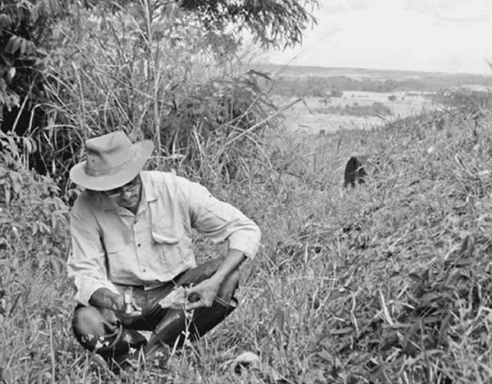 Иллюстрация к книге — Время динозавров. Новая история древних ящеров [i_053.jpg]