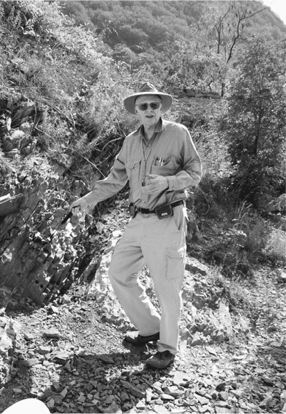 Иллюстрация к книге — Время динозавров. Новая история древних ящеров [i_067.jpg]