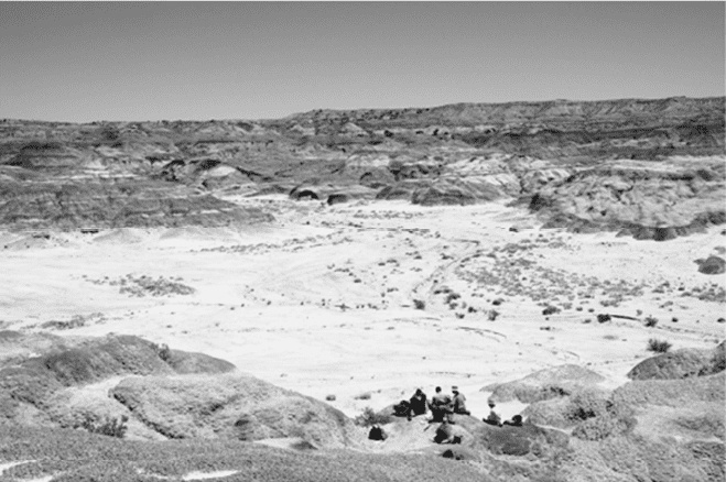 Иллюстрация к книге — Время динозавров. Новая история древних ящеров [i_069.jpg]