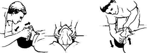 Иллюстрация к книге — Учебник для сестер милосердия  [i_052.jpg]