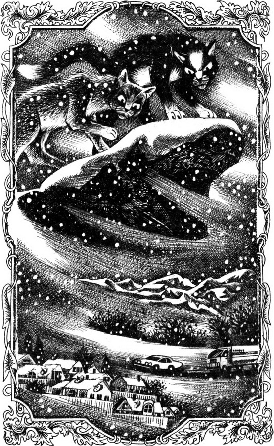 Иллюстрация к книге — Месть Звёздного Луча. Воссоединение [pic_1.jpg]