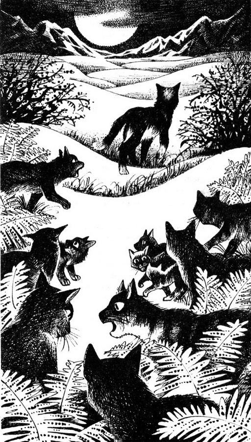 Иллюстрация к книге — Месть Звёздного Луча. Воссоединение [pic_2.jpg]