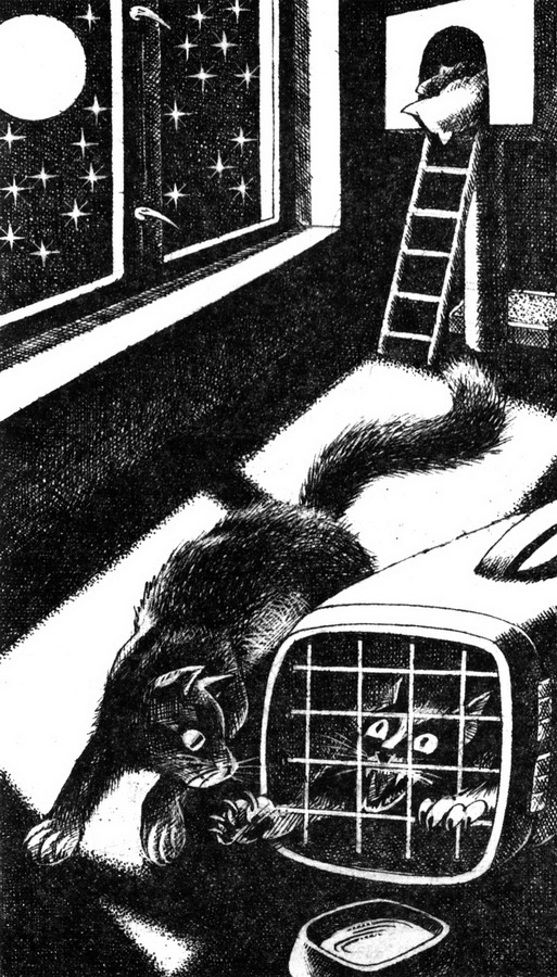 Иллюстрация к книге — Месть Звёздного Луча. Воссоединение [pic_3.jpg]