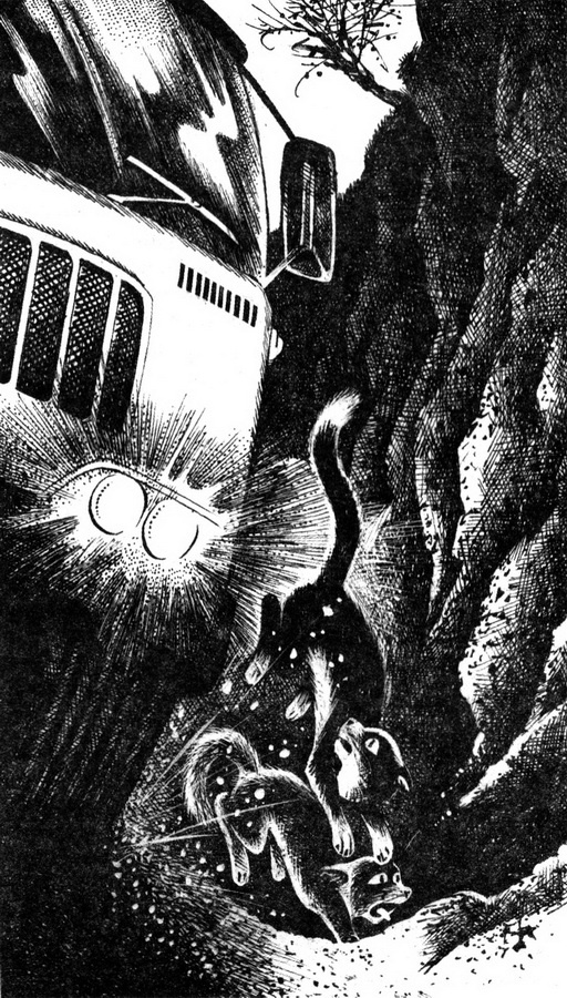 Иллюстрация к книге — Месть Звёздного Луча. Воссоединение [pic_5.jpg]