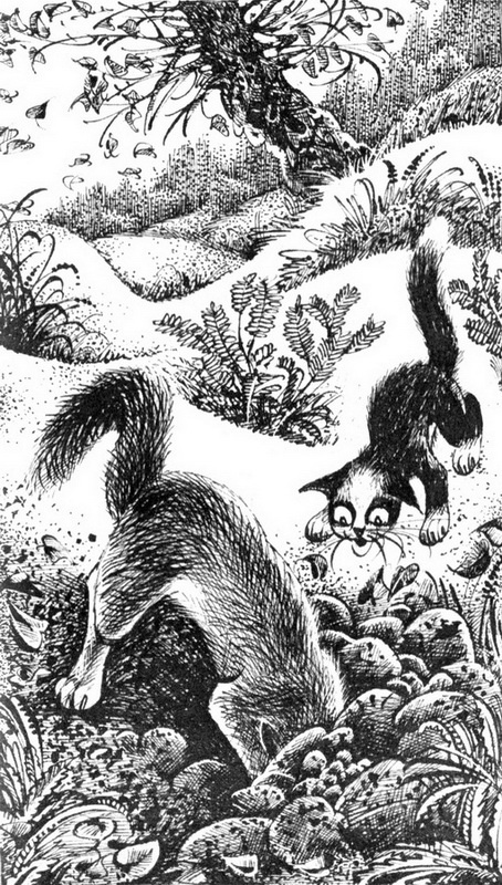 Иллюстрация к книге — Месть Звёздного Луча. Разлом [pic_2.jpg]