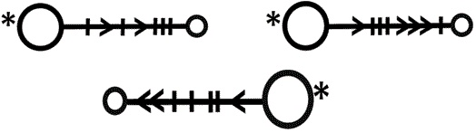 Иллюстрация к книге — Звёздный камень [i_003.jpg]