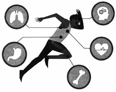 Иллюстрация к книге — Человек 2.0. Перезагрузка. Реальные истории о невероятных возможностях науки и человеческого организма [_02.jpg]